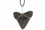 Fossil Megalodon Tooth Necklace #95231-1
